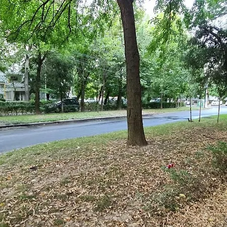 Vectorq Apartments - Minish 94/T2 Lägenhet *